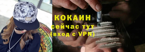 винт Болхов