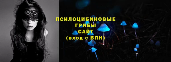 винт Болхов