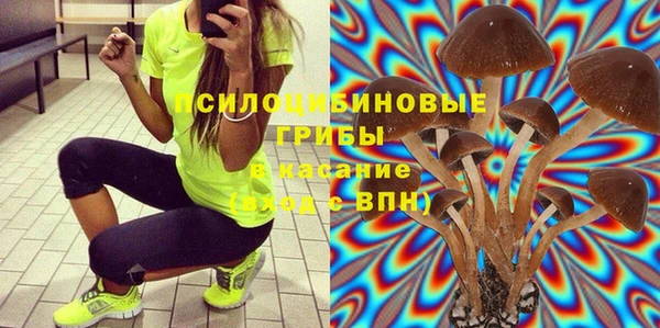 винт Болхов