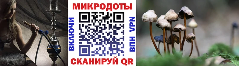 Псилоцибиновые грибы Magic Shrooms  Губкинский 