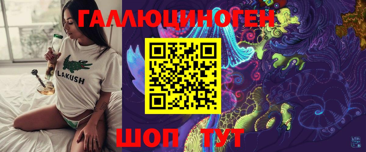 Псилоцибиновые грибы Cubensis Губкинский
