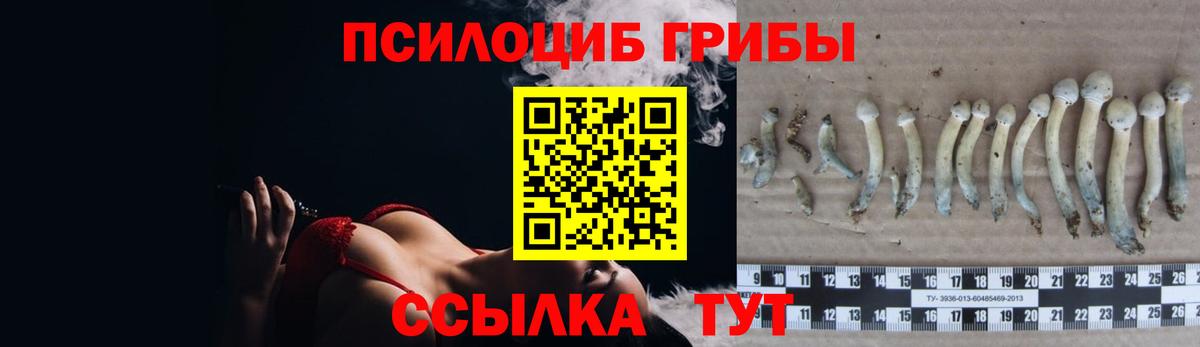 Псилоцибиновые грибы прущие грибы  Галлюциногенные грибы прущие грибы  Губкинский  Вход с VPN 